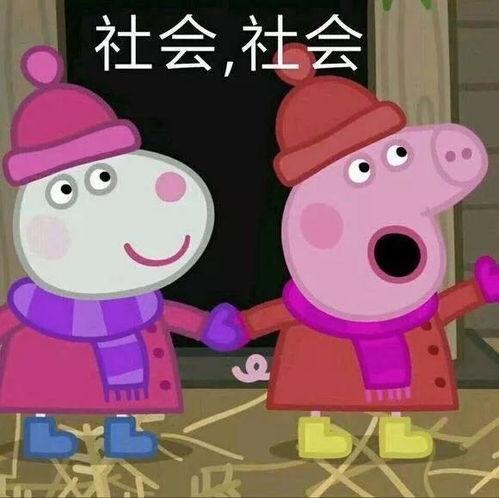 爆料小猪先生抖音视频,小猪先生爆笑视频幕后故事 第3张 爆料小猪先生抖音视频,小猪先生爆笑视频幕后故事 第3张
